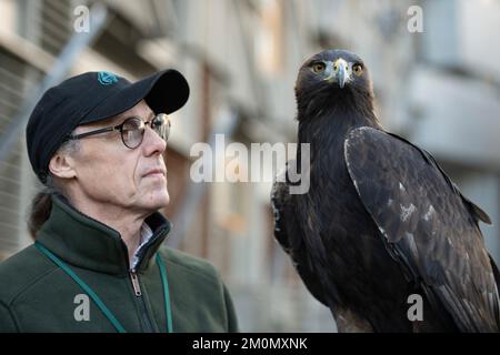 Edimburgo, Scozia, Regno Unito. 7 dicembre 2022. NELLA FOTO: Barry Blyther con Stanley l'Aquila d'oro. La commissione per la partecipazione dei cittadini e le petizioni pubbliche prenderà le prove del firmatario prima della giornata per comprendere meglio l'impatto della legislazione del 2020 sulla falconeria in Scozia e se vi sono state conseguenze involontarie. Il petitioner Barry Blyther, Roxanne Blyther e Stanley l'aquila d'oro. Il Comitato dovrà inoltre prendere atto del Ministro dell'ambiente, della biodiversità e della riforma fondiaria e di NatureScot il 21st dicembre 2022. Credit: Colin D Fisher Foto Stock