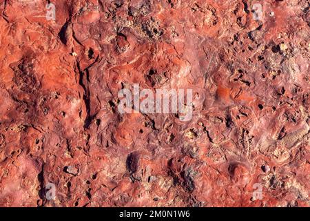 Superficie colorata di pietra mineralizzata. Cratere di Ramon. Deserto del Negev. Israele. Messa a fuoco selettiva Foto Stock