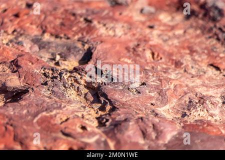 Superficie colorata di pietra mineralizzata. Cratere di Ramon. Deserto del Negev. Israele. Messa a fuoco selettiva Foto Stock