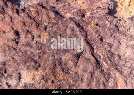 Superficie colorata di pietra mineralizzata. Cratere di Ramon. Deserto del Negev. Israele. Messa a fuoco selettiva Foto Stock