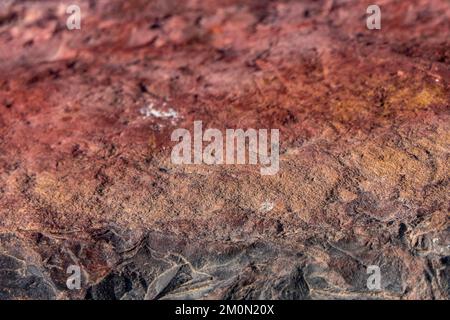 Superficie colorata di pietra mineralizzata. Cratere di Ramon. Deserto del Negev. Israele. Messa a fuoco selettiva Foto Stock