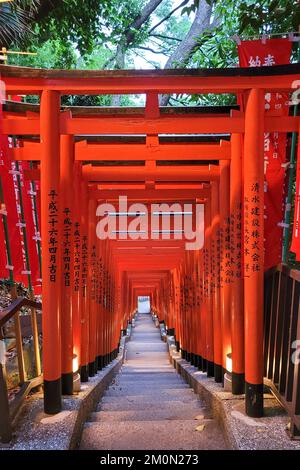 Orange Torii Gate tunnel presso il Santuario Hie Jinja Shinto, Tokyo, Giappone Foto Stock