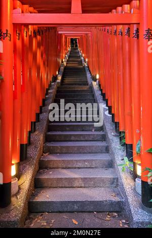 Orange Torii Gate tunnel presso il Santuario Hie Jinja Shinto, Tokyo, Giappone Foto Stock