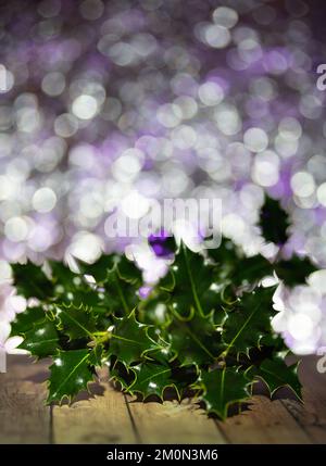 Albero di agrifoglio (Ilex aquifolium) su uno sfondo lucido, scintillante e colorato. Spazio per testo o auguri di Natale. Foto Stock