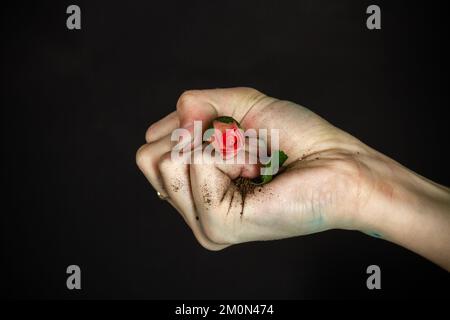 Primo piano le donne stringono i fiori in pugno. Concetto di ambiente rovinare. Foto Stock