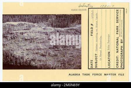 Taglio di legname su terreni statali nella Penisola di Kenai. Alaska Task Force fotografie Foto Stock