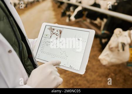 Primo piano del medico di veterinario che esamina grafici di mucche da latte sullo schermo di tavoletta digitale durante il suo lavoro in azienda casearia Foto Stock