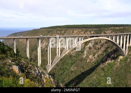 Una splendida vista sul ponte sul fiume Bloukrans sulla Garden Route in Sud Africa. Il punto più alto al mondo per il bungee jumping Foto Stock