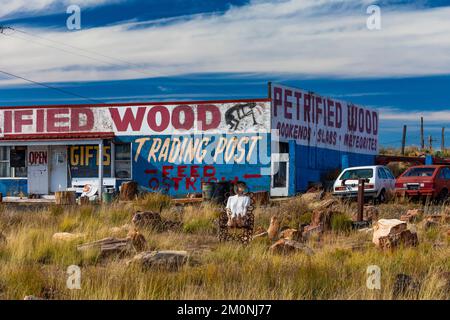 Negozio Stewart's Petrified Wood lungo la Route 66 vicino a Holbrook, Arizona, USA [non sono disponibili versioni di proprietà; solo licenze editoriali] Foto Stock