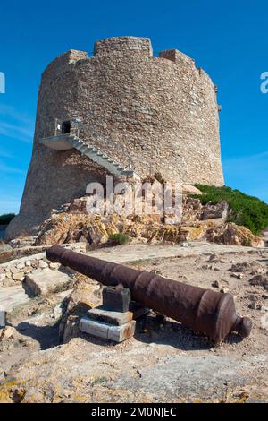 Storica torre difensiva spagnola Torre Spagnola la Turri con scalinata per visite turistiche, in primo piano storico cannone spagnolo, Santa Teresa Foto Stock