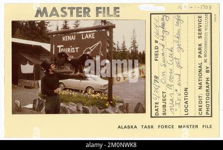 Sulla Seward Highway, vicino a Moose Creek 'Irv' e all'aquila reale. Alaska Task Force fotografie Foto Stock