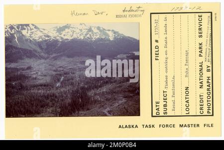 Taglio di legname su terreni statali nella Penisola di Kenai. Alaska Task Force fotografie Foto Stock