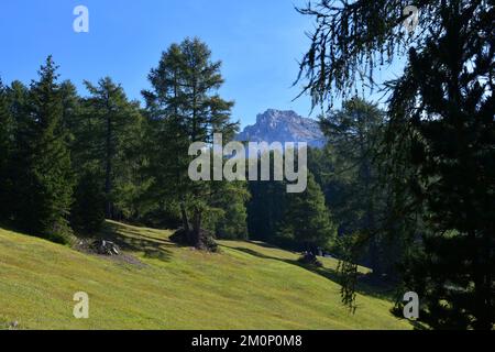 Vicino a Aldein Foto Stock