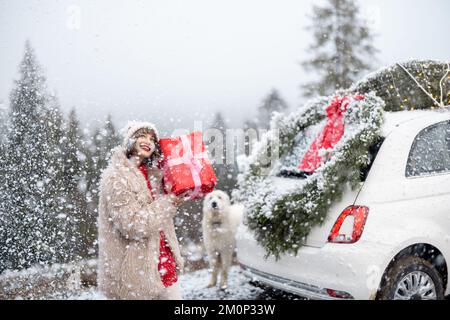 Donna viaggia in auto durante le vacanze invernali Foto Stock