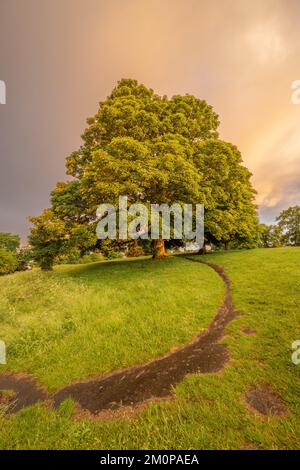 Cieli spettacolari al tramonto da Windmill Hill Gravesend Kent. Foto Stock