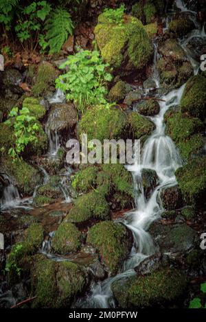 Cascata nella costa meridionale dell'Oregon Foto Stock