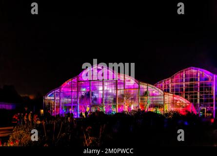 La Glasshouse illuminata nel 2022° evento annuale Christmas Glow, RHS Garden Wisley, Surrey, con illuminazioni colorate di notte Foto Stock