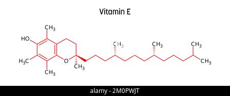 Struttura molecolare della vitamina E. La vitamina e è un nutriente essenziale, solubile nei grassi, con proprietà antinfiammatorie. Formula strutturale vettoriale del composto chimico con legami rossi e etichette di atomi neri. Illustrazione Vettoriale