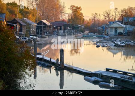 Finn Slough Mist. Nebbia mattutina nello storico insediamento di pescatori di Finn Slough sulle rive del fiume Fraser vicino a Steveston. Foto Stock