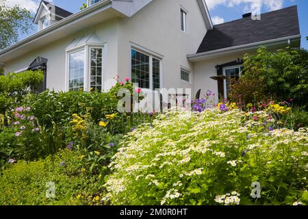 Due piani bianchi degli anni '1950 con finiture nere, casa padronale francese in stile canadese con giardino all'inglese in estate. Foto Stock