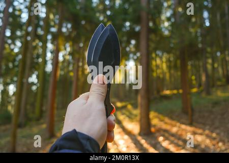 Lancio di coltelli. Concetto di sport e hobby. Coltelli di metallo per lanciare in una mano su una foresta sfondo.Sport all'aperto. Foto Stock