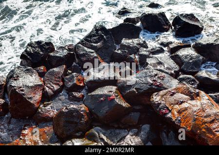 Pietre costiere e onde oceaniche . Granchi sulle rocce del mare Foto Stock