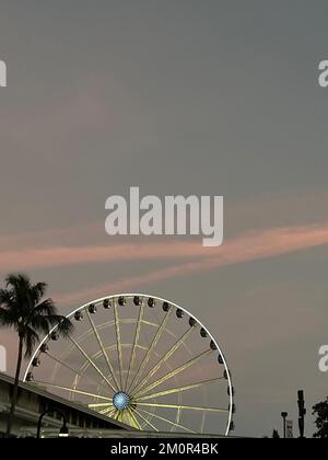 Ruota panoramica nel parco del centro di Miami al tramonto Foto Stock