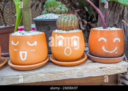 Piante di cactus in vaso con facce che mostrano sentimenti. Foto Stock