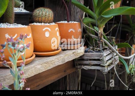 Piante di cactus in vaso con facce che mostrano sentimenti. Foto Stock