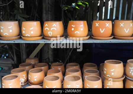 Vaso di fiori con facce che mostrano sentimenti Foto Stock