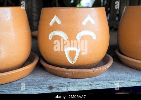 Vaso di fiori con facce che mostrano sentimenti Foto Stock