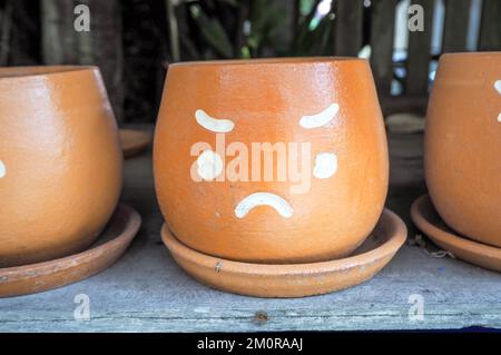 Vaso di fiori con facce che mostrano sentimenti Foto Stock