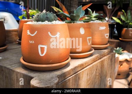 Vaso di fiori con facce che mostrano sentimenti Foto Stock