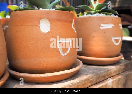 Vaso di fiori con facce che mostrano sentimenti Foto Stock