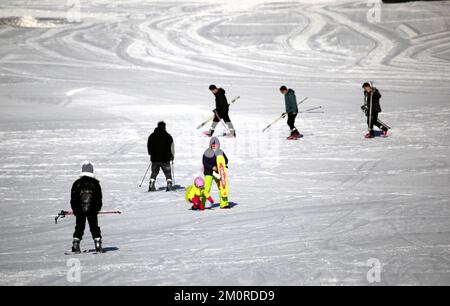 SHENYANG, CINA - 7 DICEMBRE 2022 - la gente sperimenta la gioia di sciare alla stazione sciistica Qipanshan Snow and Ice World di Shenyang, provincia di Liaoning, CH Foto Stock