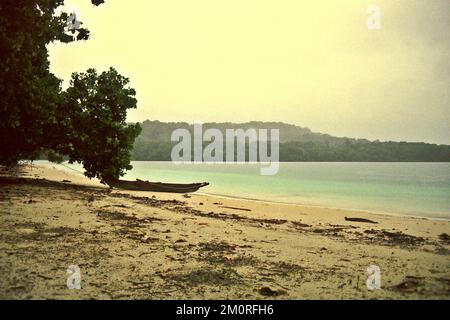 Una spiaggia sull'Isola di Peucang, il Parco Nazionale di Ujung Kulon, Pandeglang, Banten, Indonesia. Foto Stock