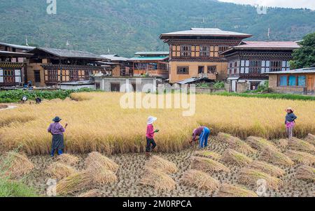 Contadine femminili nel villaggio di Lobesa vicino a Punakha sul Trans Bhutan Trail Foto Stock