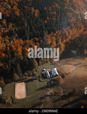 Una vista aerea verticale di capanne in legno in una foresta nella Repubblica Ceca in una giornata di sole Foto Stock