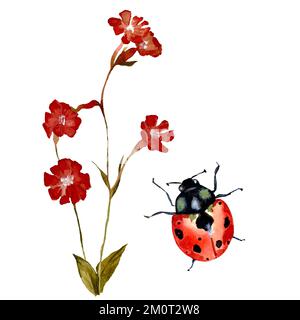 Fiore rosso ladybug textured schizzo un acquerello Foto Stock