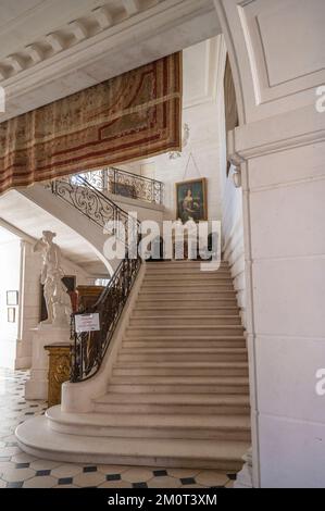 Francia, Yonne (89), Saint Fargeau, castello di Saint Fargeau, Foto Stock