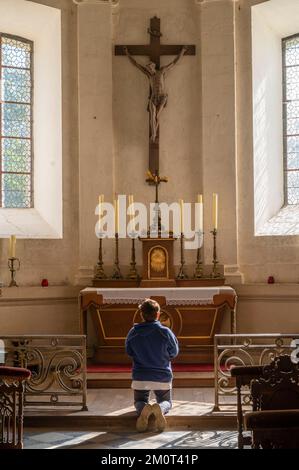 Francia, Yonne (89), Saint Fargeau, castello di Saint Fargeau, cappella Foto Stock