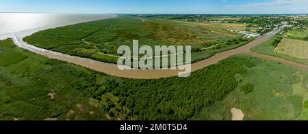 Francia, Charente-Maritime, estuario della Gironda, Mortagne-sur-Gironde, villaggio di pietra e acqua e la sua palude sul bordo del più grande estuario d'Europa Foto Stock