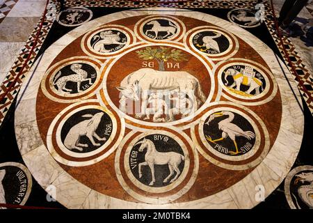 Italia, Toscana, Siena, patrimonio mondiale dell'UNESCO, il Duomo o la cattedrale di Santa Maria Assunta, mosaico in marmo del pavimento Foto Stock