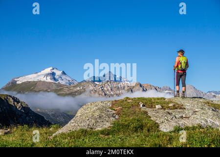 Francia, Savoia, Haute-Tarentaise, Grande Sassi?re riserva naturale, la Grande Motte (3653m) sulla sinistra e la Grande casse (3855m) sullo sfondo visto dalla frazione di le Saut (2270m) Foto Stock