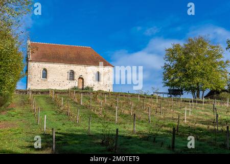 Francia, Allier, villaggio di Herisson etichettato Petites CITES de Caractere, cappella Calvaire, Bourbonnais Foto Stock
