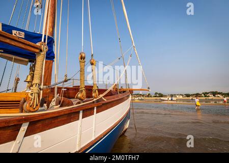 Francia, Gironde, Bassin d'Arcachon, l'GE-Cap-Ferret, argo II barca a vela, replica di una barca sardina che riposa sul fondo sabbioso in bassa marea Foto Stock