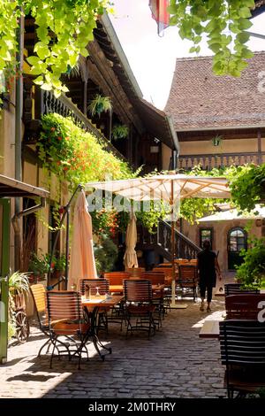 Francia, Haut-Rhin (68), route des vins d'Alsace, Bergheim, ancienne cit? m?di?vale fortifi?e, labellis? Les Plus Beaux Villages de France, Grand Rue, la Cour du Bailli/France, Haut Rhin, strada del vino dell'Alsazia, Bergheim, antica città medievale fortificata, etichettata Les Plus Beaux Villages de France (i più bei villaggi di Francia), Grand Rue, la Cour du Bailli Foto Stock