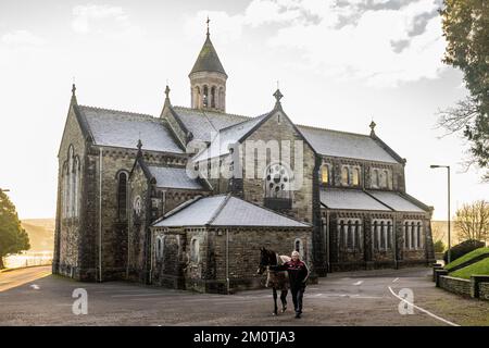 Timoleague, West Cork, Irlanda. 8th Dec, 2022. Un cavallo fuggì dal suo campo a Timoleague durante la notte e si ritrovò nei terreni della chiesa cattolica di Timoleague. Il cavallo fu portato da un residente di Timoleague, Joe Walsh, in un campo prima che il proprietario raccolse il miscreant. Credit: AG News/Alamy Live News Foto Stock