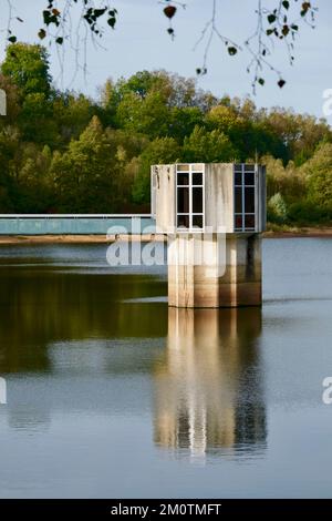 Francia, Cote d'Or, Parco Naturale Regionale Morvan, Saint Martin de la Mer, lago Chamboux in autunno Foto Stock