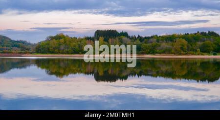 Francia, Cote d'Or, Parco Naturale Regionale Morvan, Saint Martin de la Mer, riflessione della foresta sul lago Chamboux in autunno Foto Stock